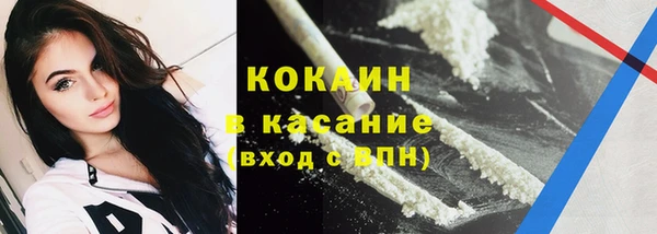 винт Инта