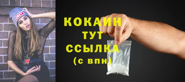 винт Инта