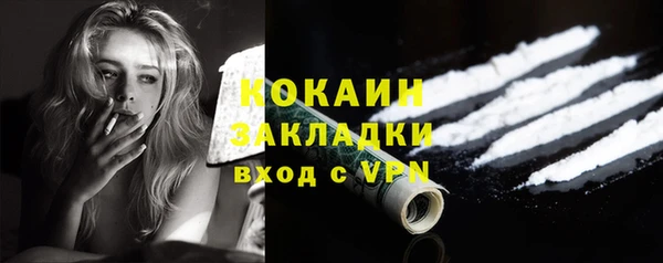 винт Инта