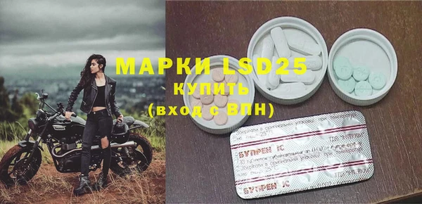 винт Инта