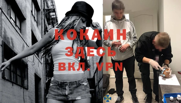 винт Инта